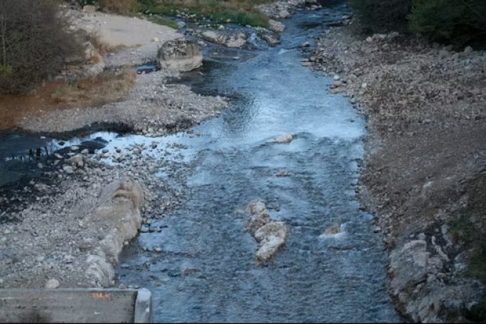 Loire Anne Marie Filaire