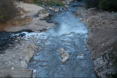 Loire Anne Marie Filaire